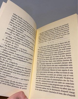 Libro El Príncep de la boira