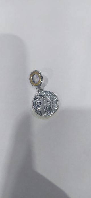 Charm de plata