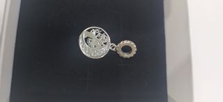 Charm de plata
