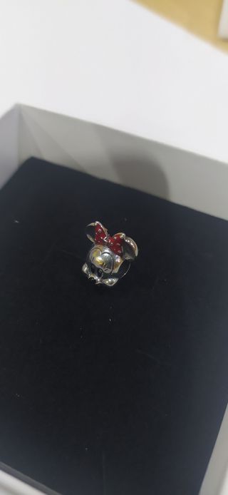Charm de plata