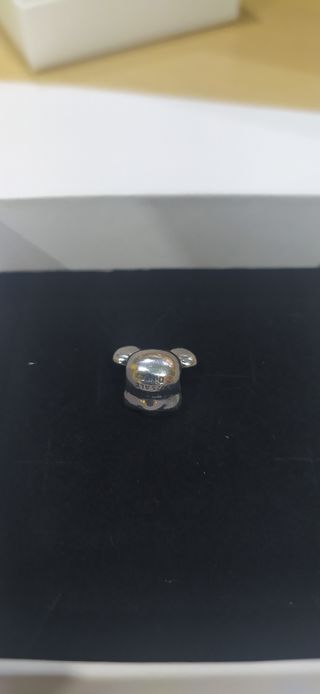 Charm de plata