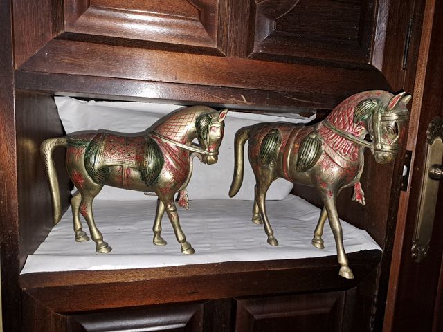 Pareja caballos asiáticos.