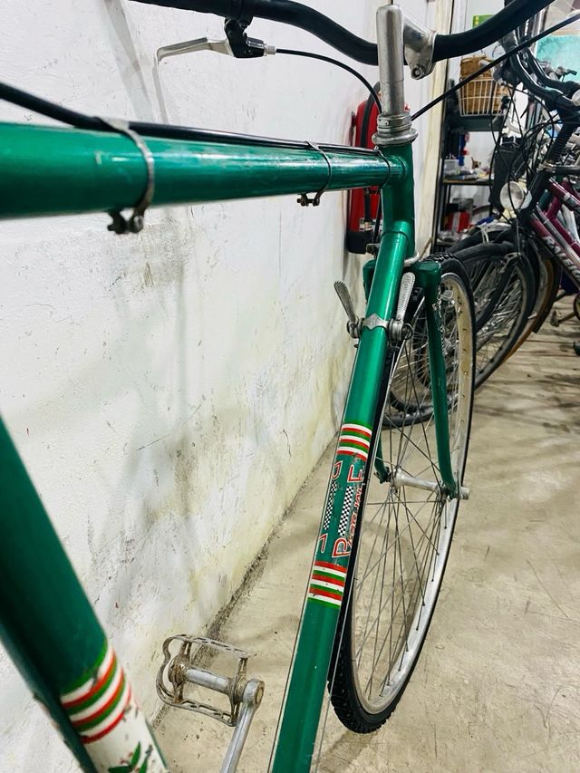 Bicicleta Pascuale Especial