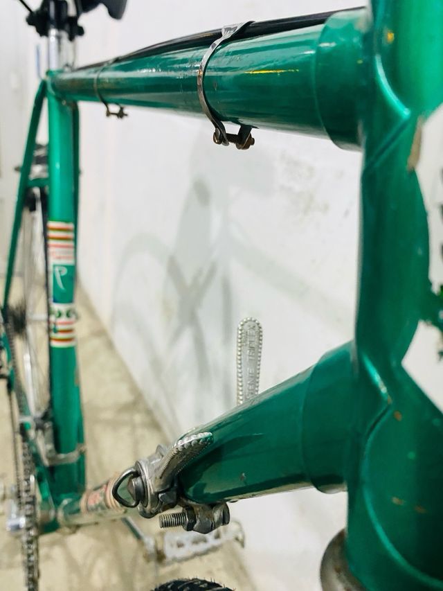 Bicicleta Pascuale Especial