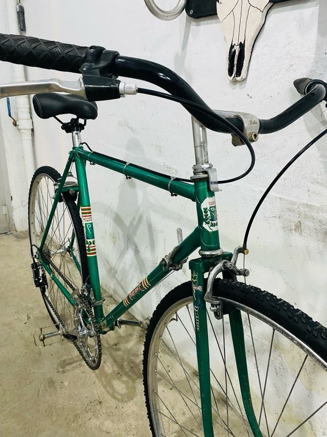 Bicicleta Pascuale Especial
