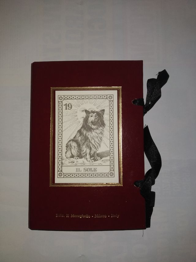 22 Arcani "I cani del mondo"