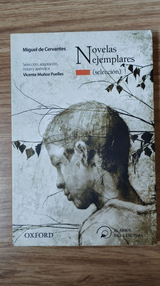 Libro Novelas Ejemplares