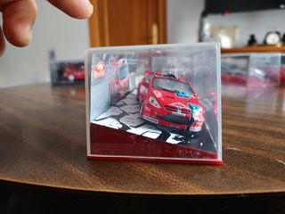 Peugeot 307 wrc escala 1/42