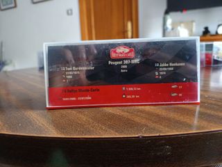 Peugeot 307 wrc escala 1/42