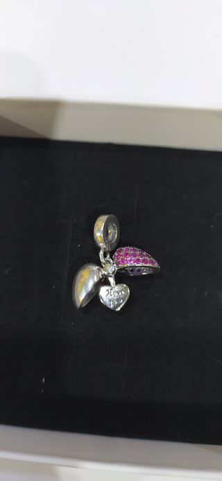 Charm de plata