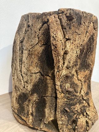 Antigua colmena corcho tronco