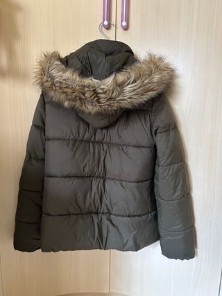 Cazadora verde sprinfield