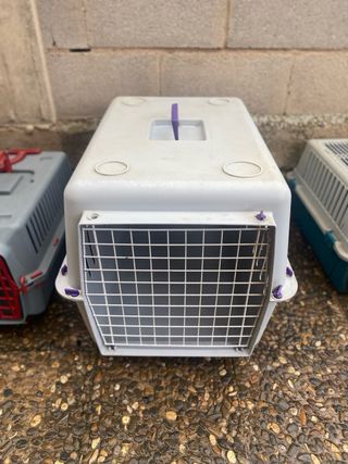 Lote de 4 Transportines