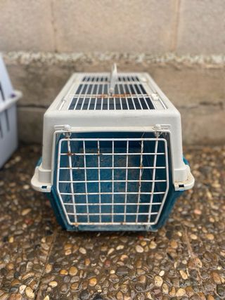 Lote de 4 Transportines