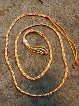 Hamaca y nido para roedores