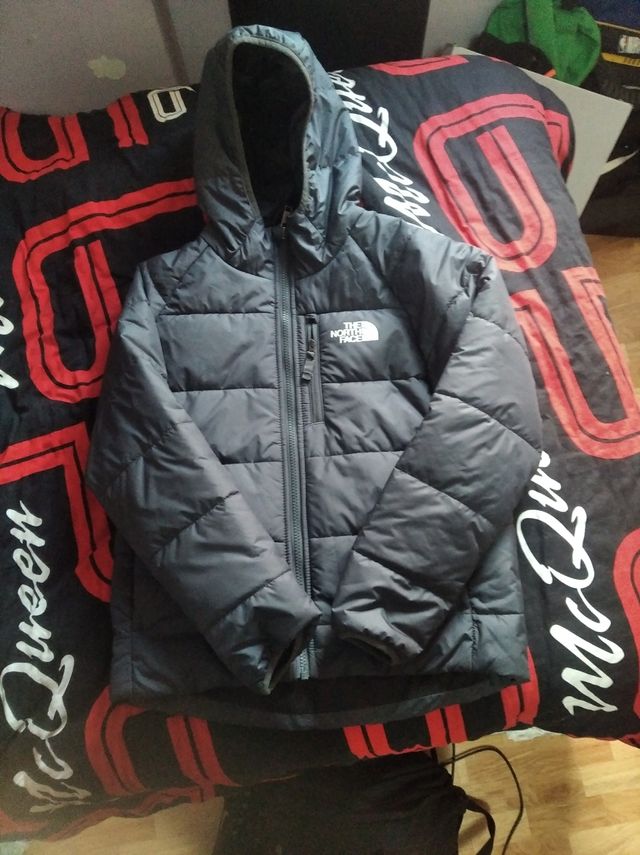 Chaqueta the north face