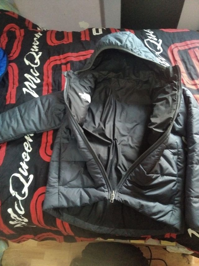Chaqueta the north face