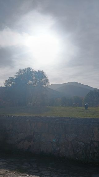 Desbroces y arreglos de jardines