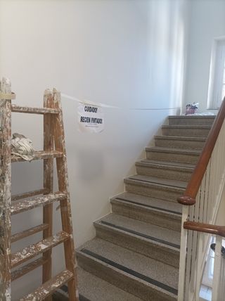 Pintor, reformas en general