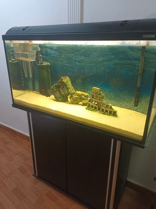 Acuario 200l con mesa