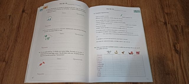 Vacaciones RUBIO (4.º de Primaria)