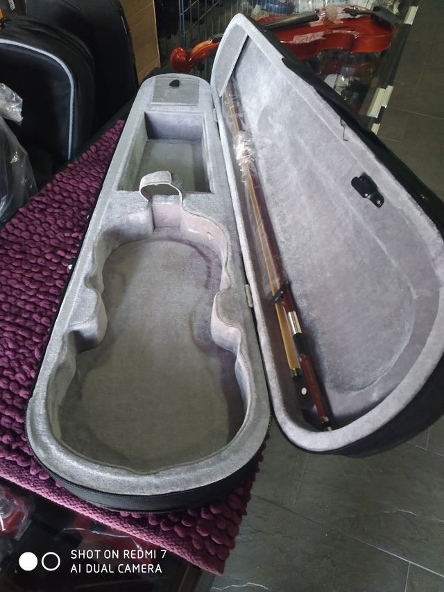 (Nuevo) Violin Gaudieri 4/4 (HDV01) Brillo