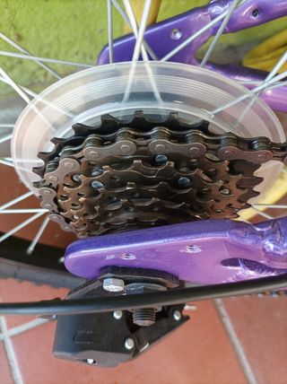 Bicicleta niña rueda 24