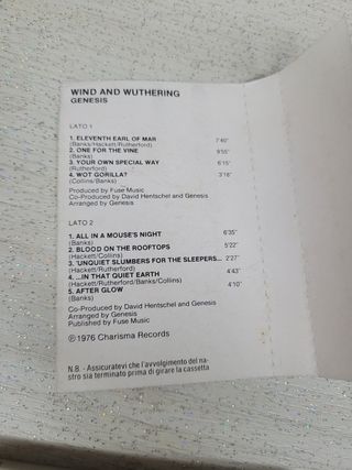 Genesis - Wind and Wuthering - Audio Cas