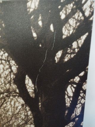 Foto lienzo de Ikea misty Road