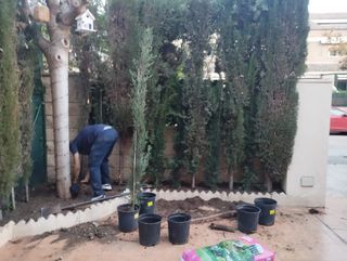 Jardinero profesional