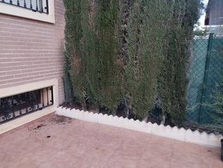 Jardinero profesional