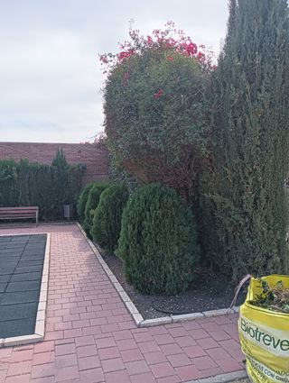 Jardinero profesional