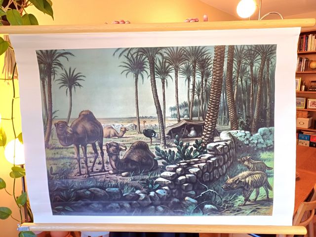 Mural escolar oasis debajo las palmeras