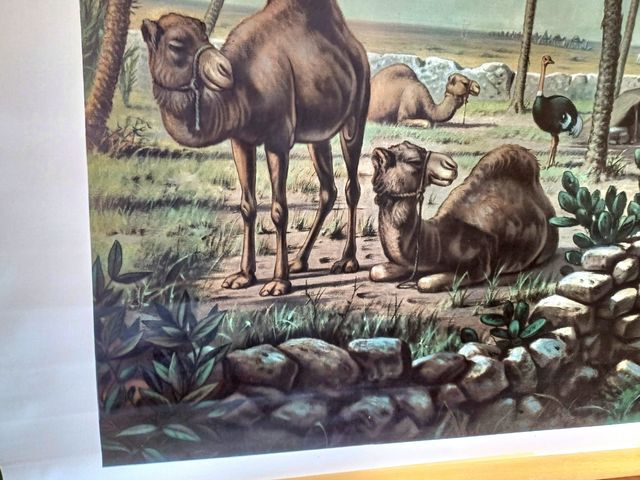 Mural escolar oasis debajo las palmeras