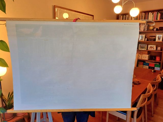 Mural escolar animales australia koekkoek