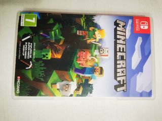 Minecraft nintendo switch 