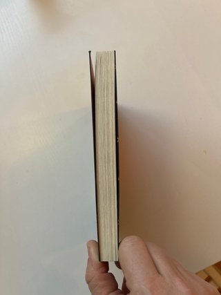 El Rey León. La novela