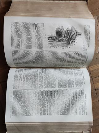 Diccionario medicina, cirugía, farmacia-É. Littré