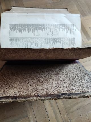 Diccionario medicina, cirugía, farmacia-É. Littré