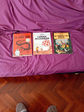 Tebeos en Francés de Tintin