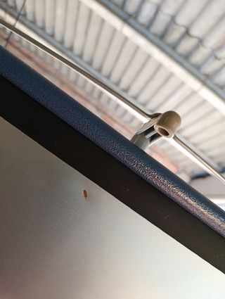 pantalla proyector , nueva