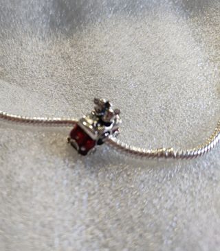 Charms de plata de ley