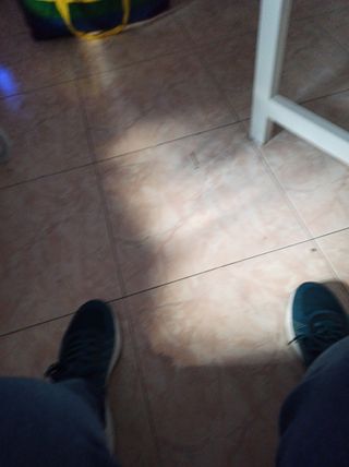 Mortaja para un ruiseñor