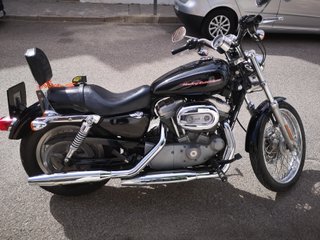 harley davidson 883 xl