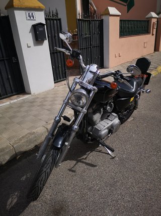 harley davidson 883 xl