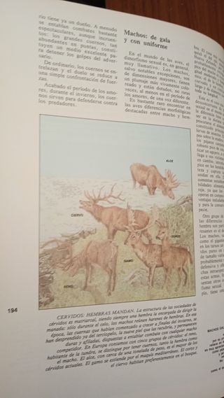 Tomo enciclopedia '83