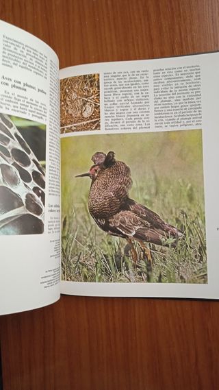 Tomo enciclopedia '83