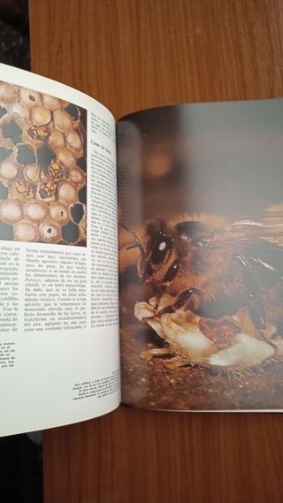 Tomo enciclopedia '83