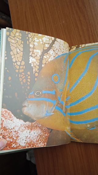 Tomo enciclopedia '83