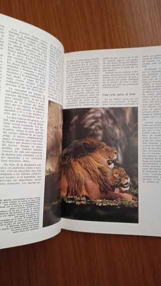 Tomo enciclopedia '83